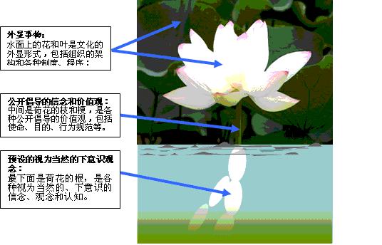 港澳资讯官网